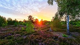 Foto: Dirk Dreyer , Lizenz: Dirk Dreyer 