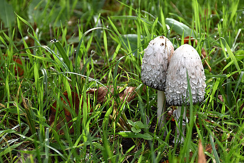 Foto: Barnim Panorama, Lizenz: Barnim Panorama