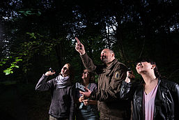 Noch bevor es dunkel wird, erscheinen die ersten Fledermäuse (Foto: S.Hennigs), Foto: Sebastian Hennigs, Lizenz: NaturSchutzFonds Brandenburg